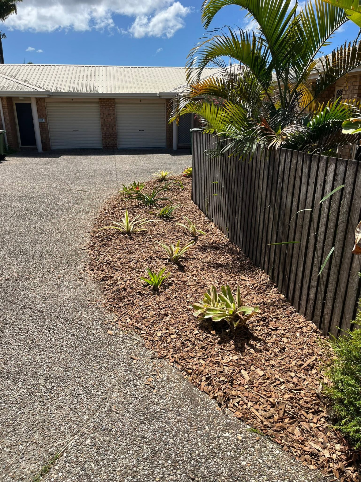 Freshly weeded and mulched tropical garden bed beside a lawn