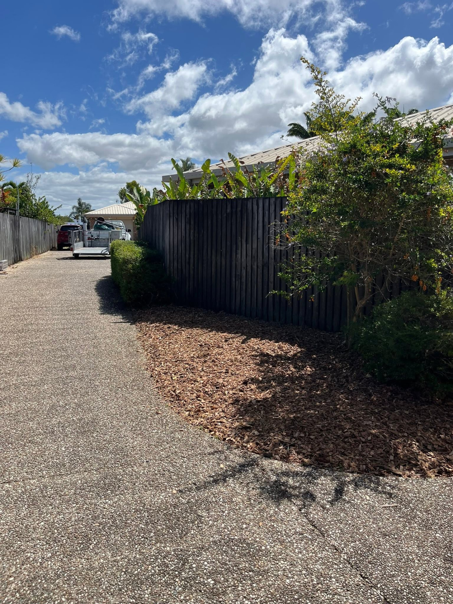 Trimmed hedge and mulched bed along a driveway