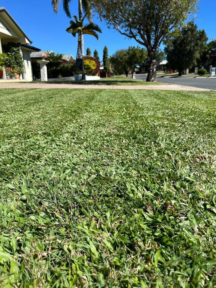 Lawn mower cutting a green lawn beside a concrete driveway at a Mackay home