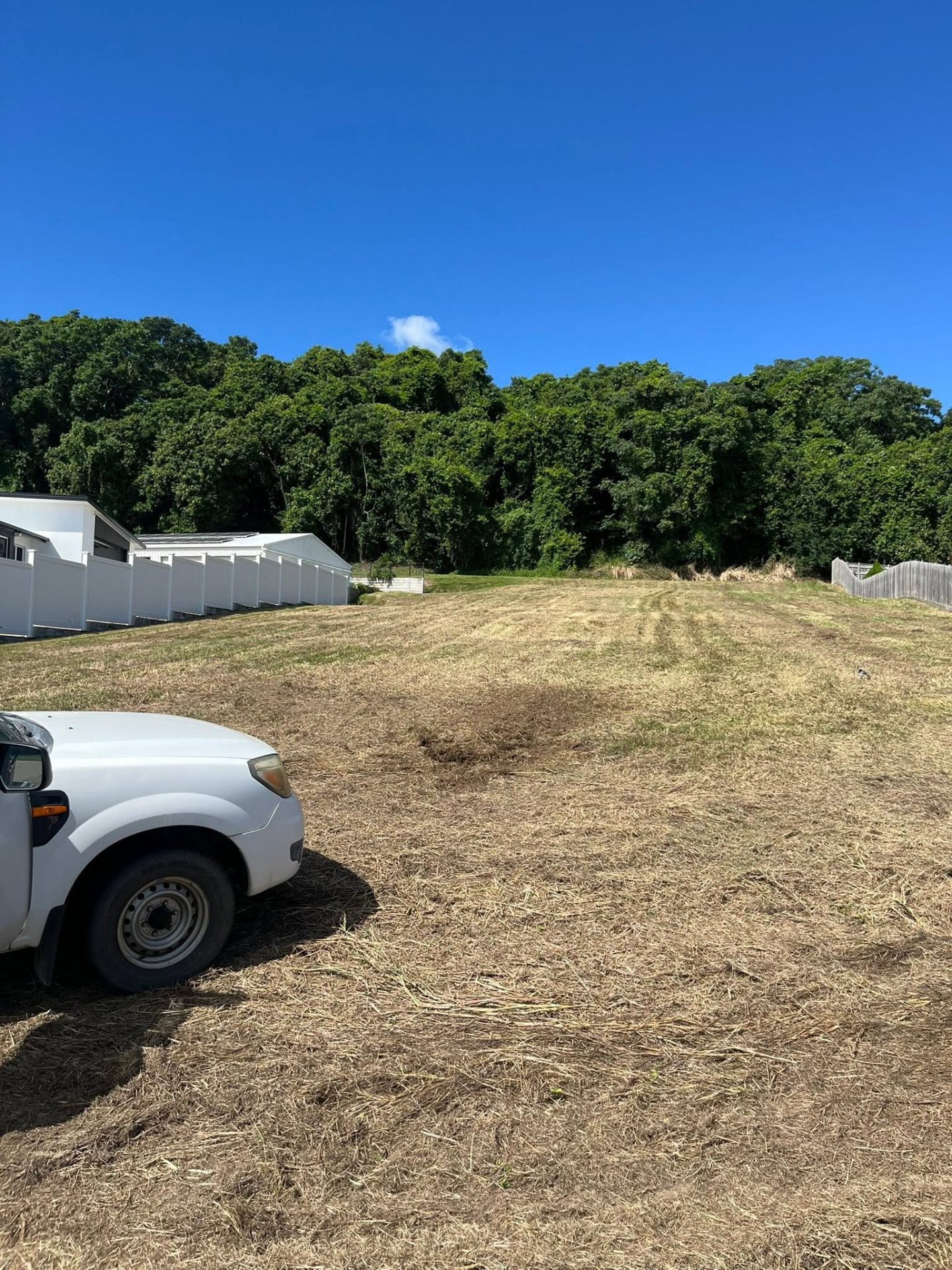 Freshly slashed rural acreage block with gum trees under a blue sky