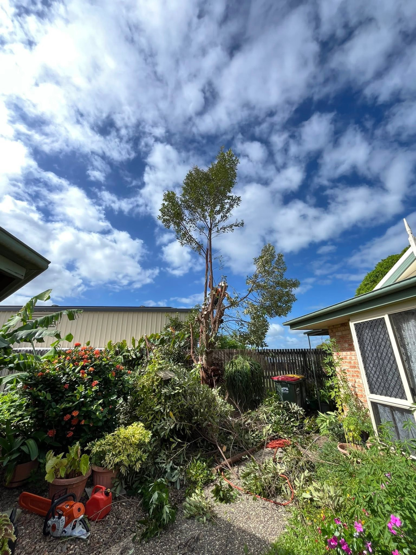Tree being sectioned down beside a Mackay home with cut branches stacked below